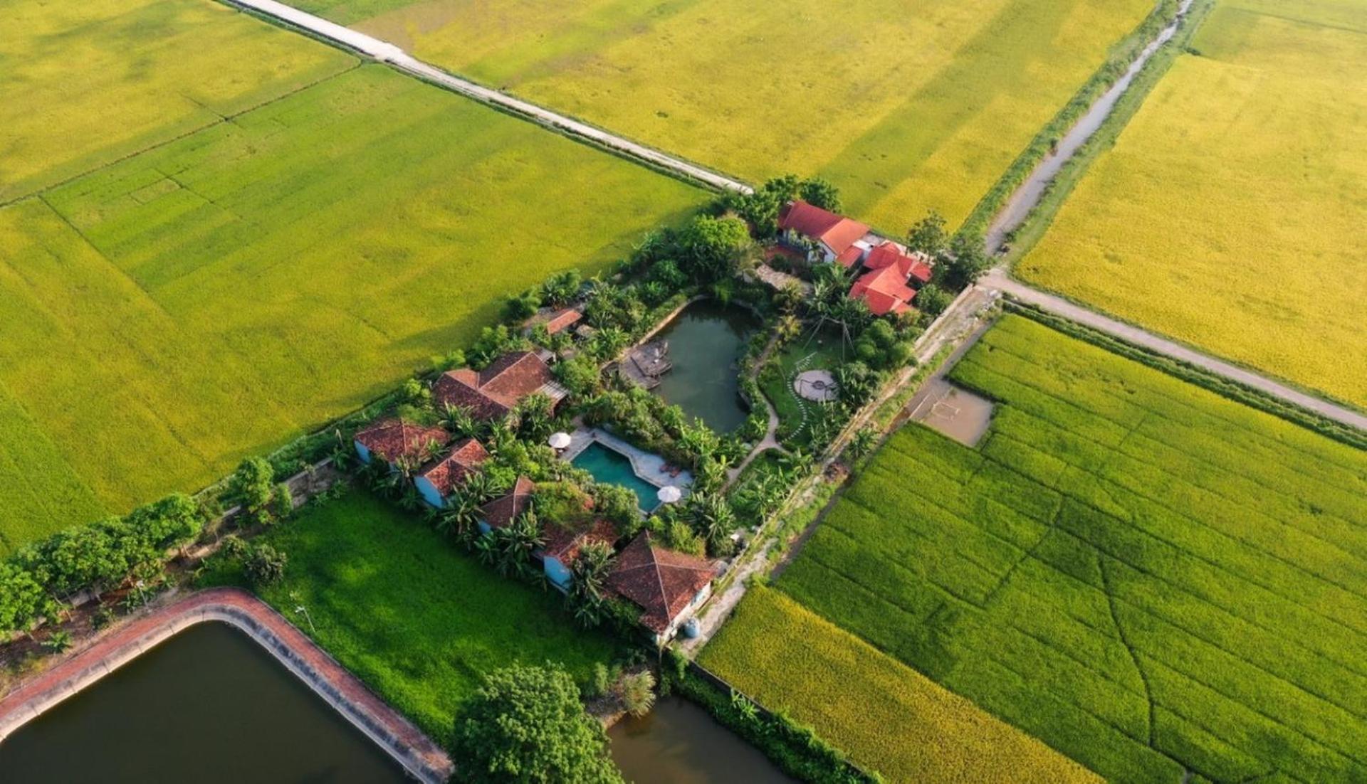 Chezcao Rice Field Lodge