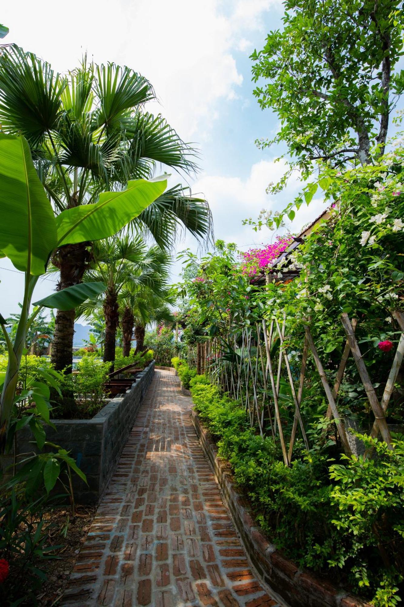 Chezcao Rice Field Lodge Ninh Binh